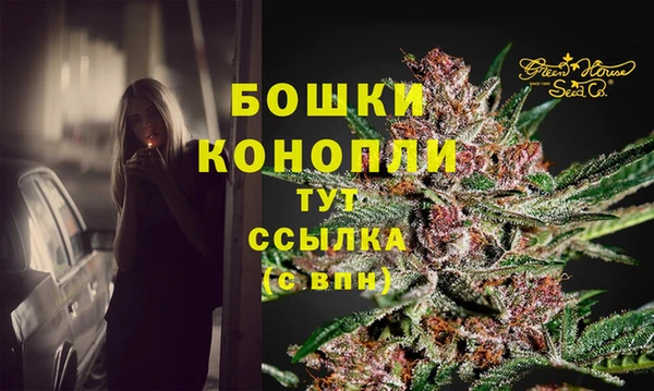 шишки Наволоки