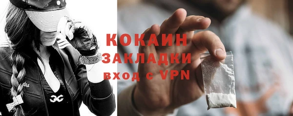 шишки Наволоки