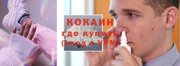 шишки Наволоки