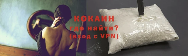 шишки Наволоки