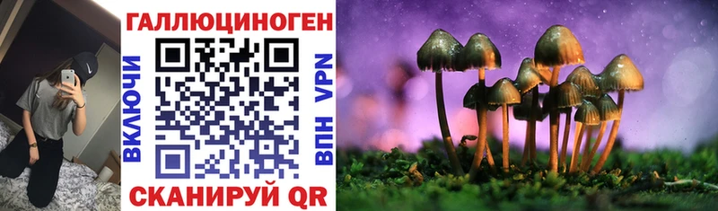 Галлюциногенные грибы Magic Shrooms  Приволжский 